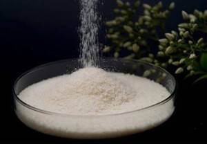 Maltogenic Amylase