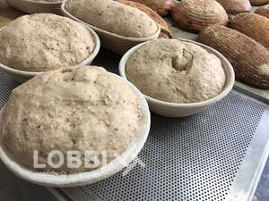 PANE MALTONE 100% Mix for malt bread with pumpkin seeds and yeast