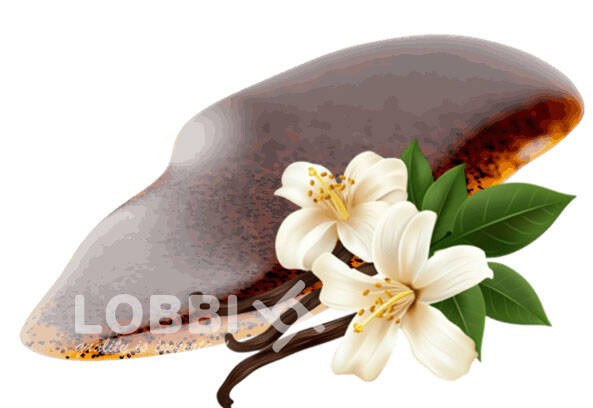 Vanilla aroma paste LB 47